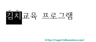 강조점 확인