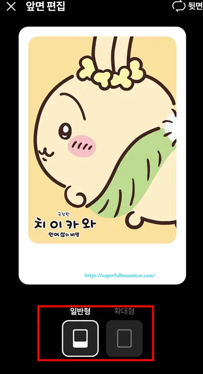 이미지 일반형